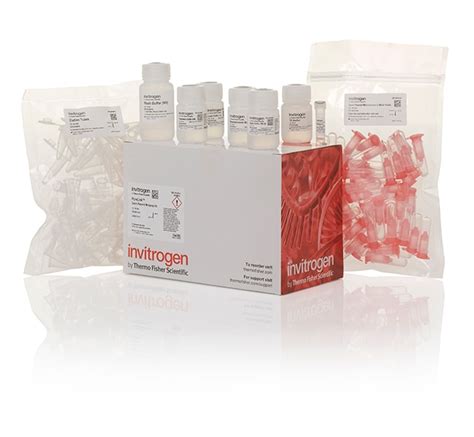 purelink rna mini kit|purelink quick plasmid miniprep kit.
